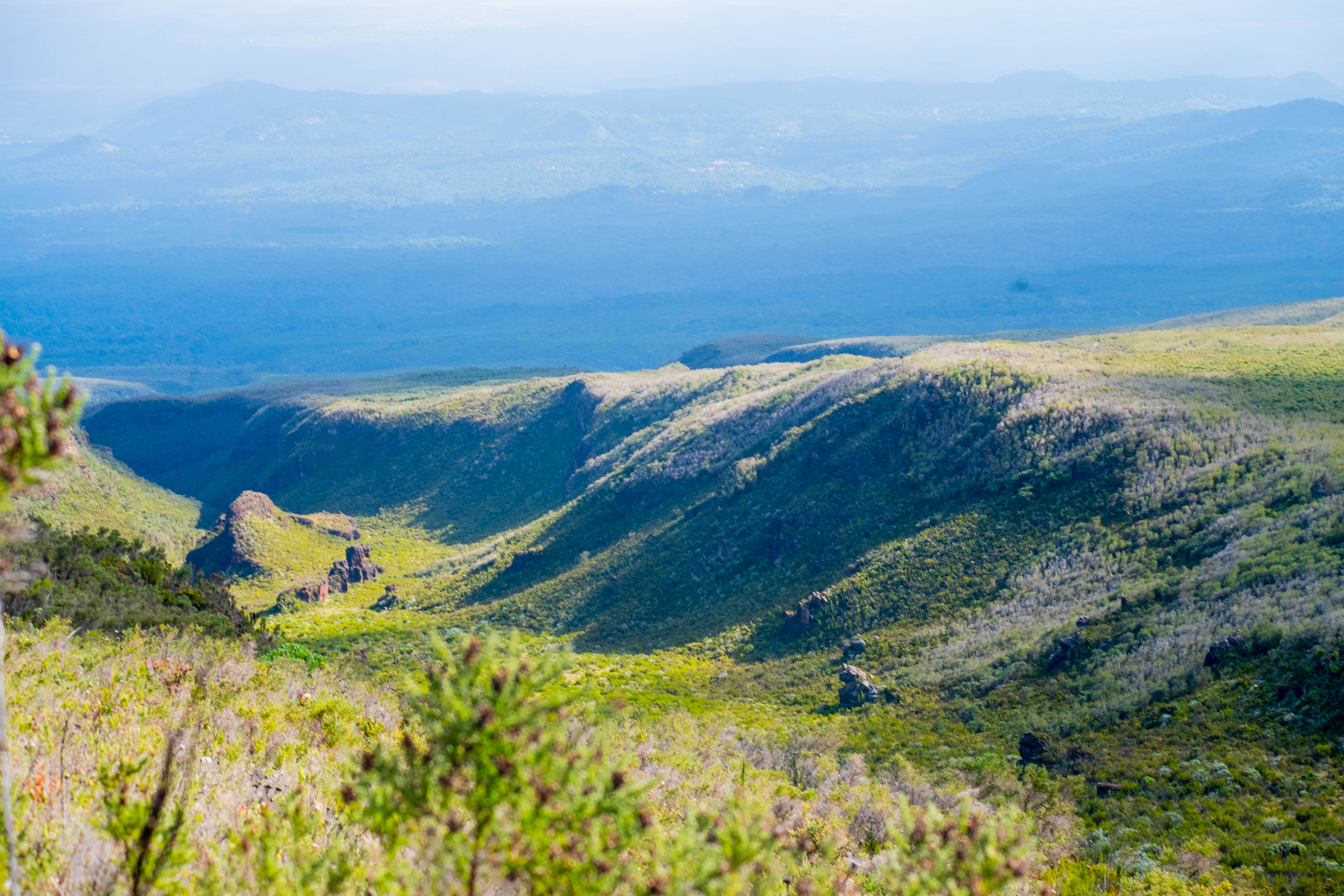 The Nature of Kilimanjaro